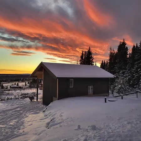 Koselig Liten Fjellhytte I Flott Turterreng Bade Sommer Og Vinter Hovda