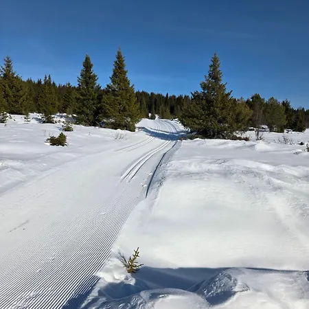 Koselig Liten Fjellhytte I Flott Turterreng Bade Sommer Og Vinter * Hovda